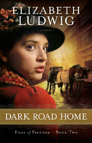 Image Dark Road Home book cover